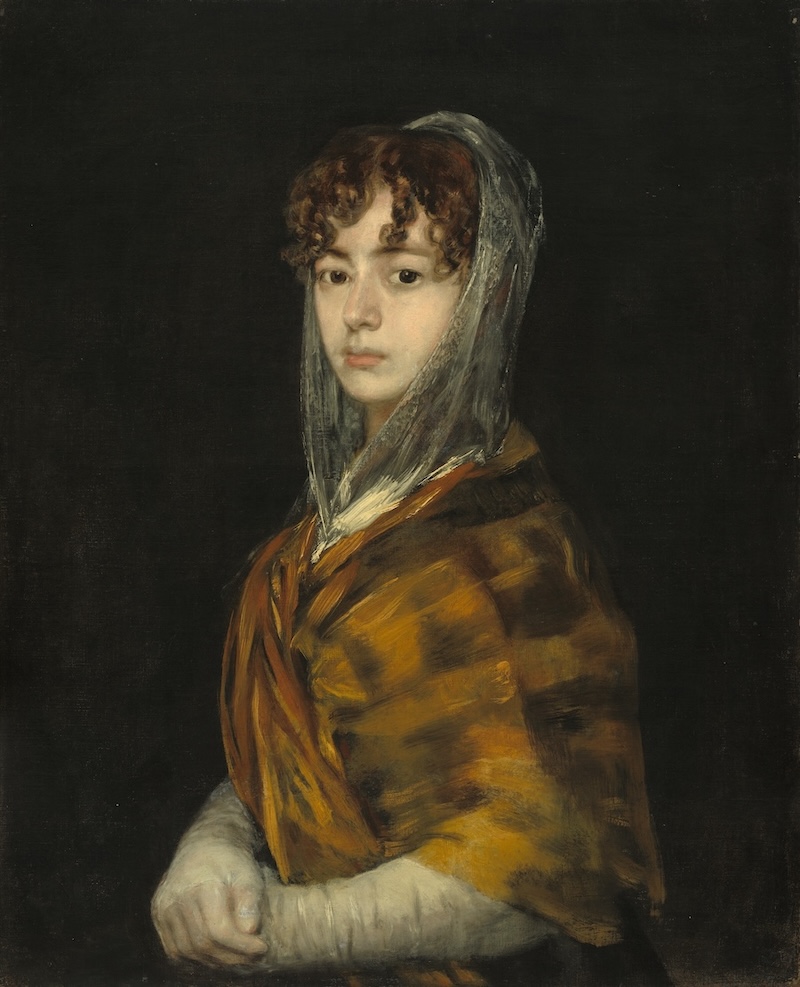 Senora Sabasa Garcia, 1804 by Francisco Goya